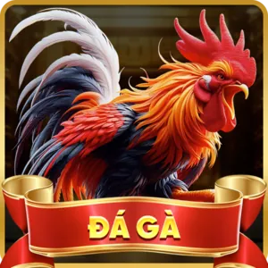 Cá cược Thể thao Daga