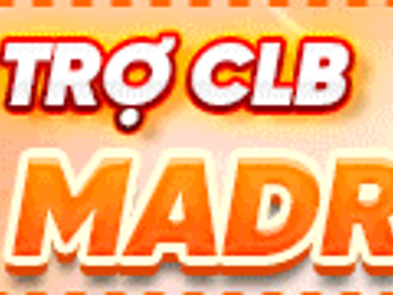 Gà Asil Ấn Độ với thân hình cơ bắp