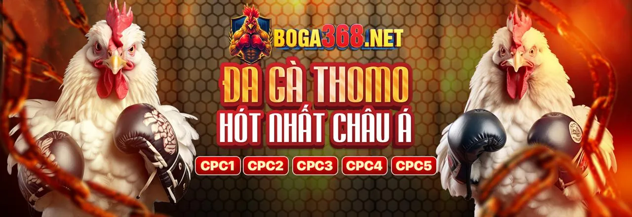 Giải thích thuật ngữ cá cược thường gặp
