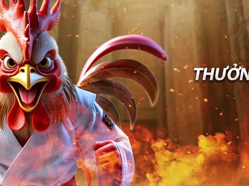 Hình ảnh một trận đấu đá gà trực tuyến sôi động với khán giả theo dõi qua màn hình.