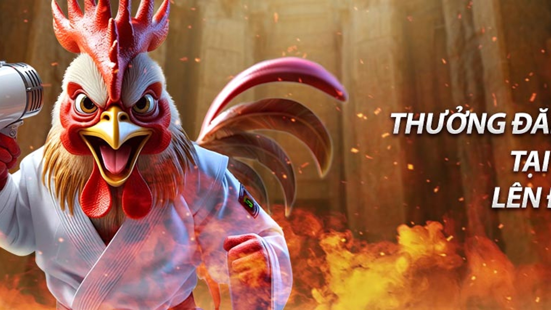 Hình ảnh tổng quan về các giống gà đá phổ biến