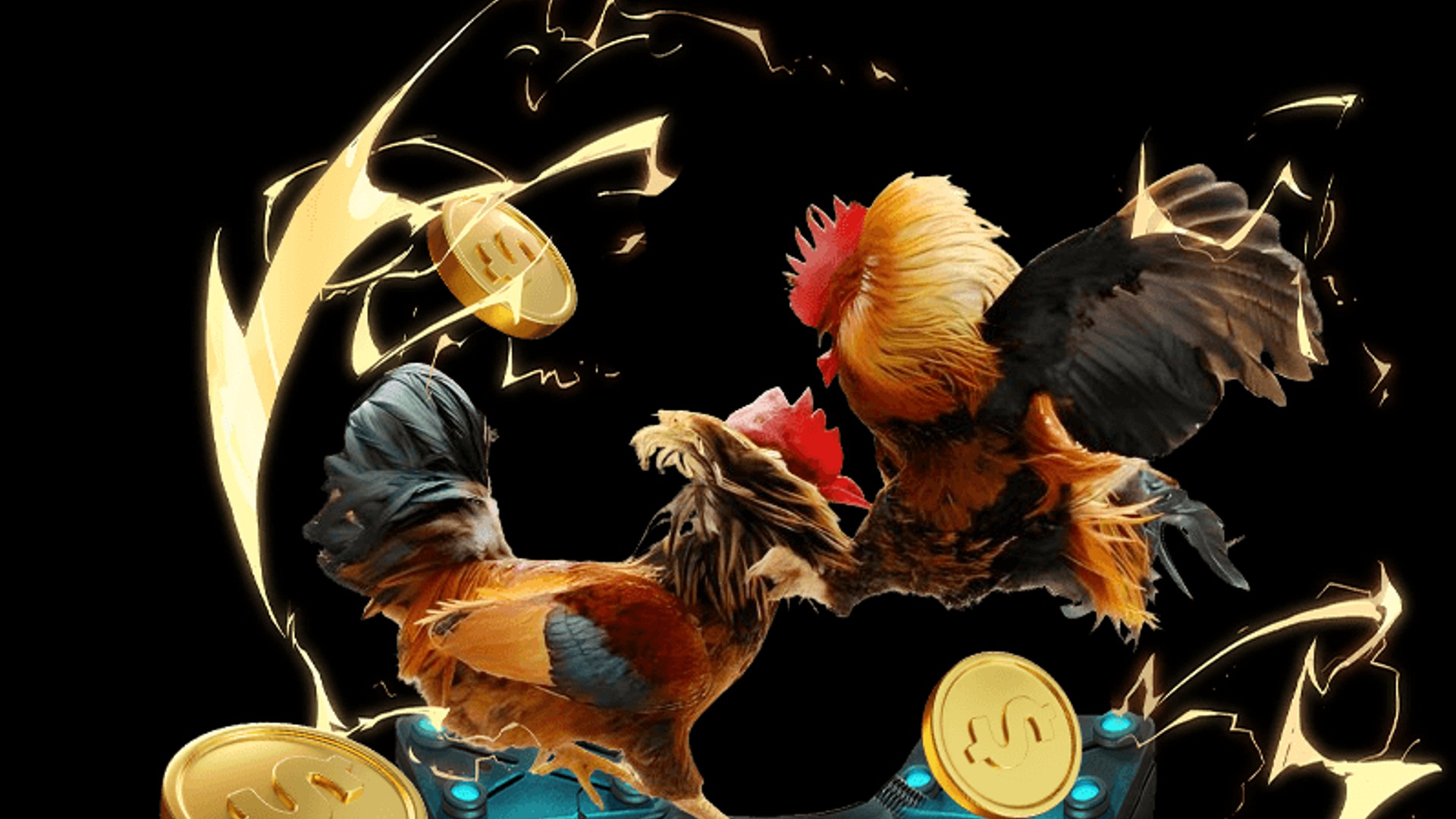 Trực tiếp đấu gà trực tuyến