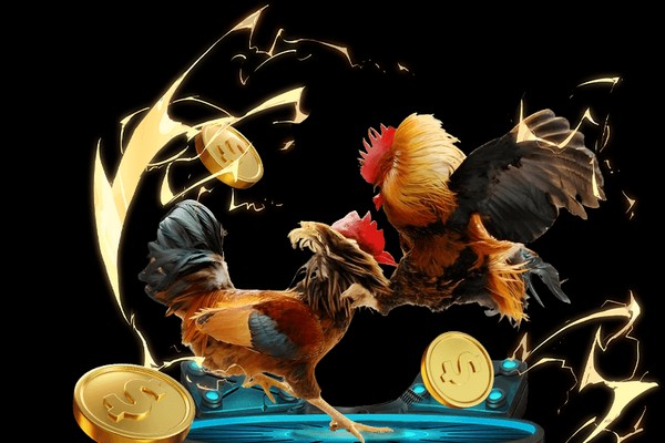 Khán giả hò reo cổ vũ tại trường gà trực tiếp.